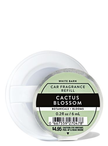Cactus Blossom